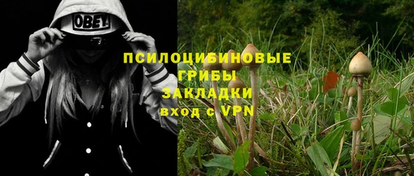 альфа пвп Каменка