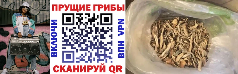 Купить  Никольское  Псилоцибиновые грибы GOLDEN TEACHER 